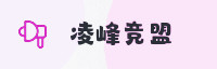合作伙伴